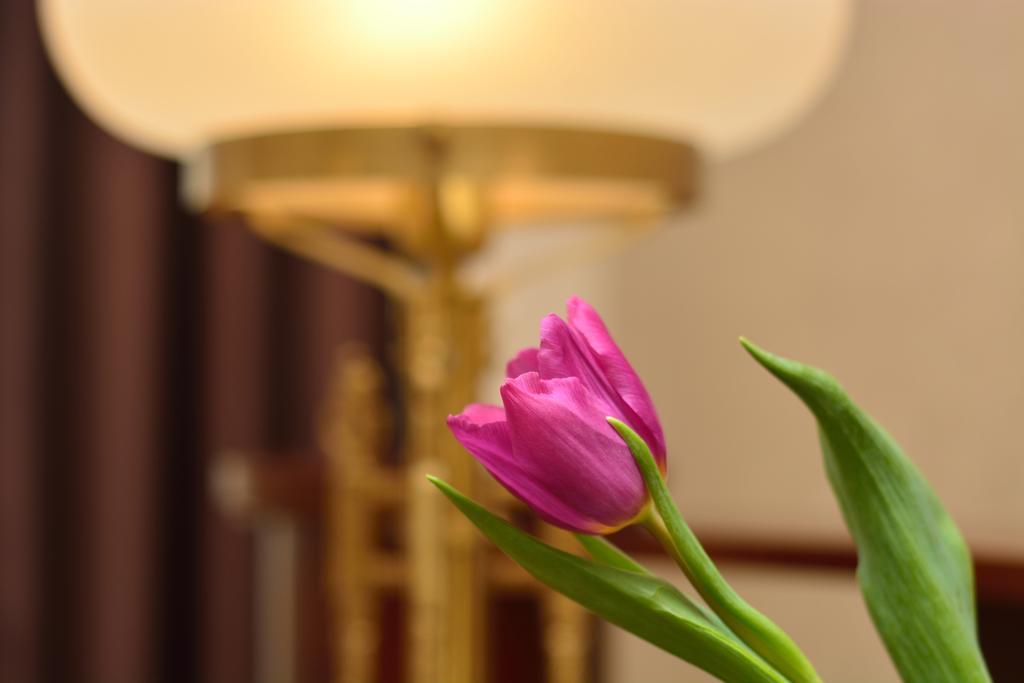 Boutique Hotel Villa Mtiebi Тбілісі Екстер'єр фото